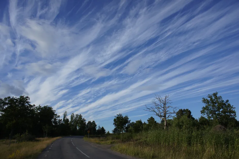 Wispy cirrus clouds stretch across the sky over land with trees and grasses