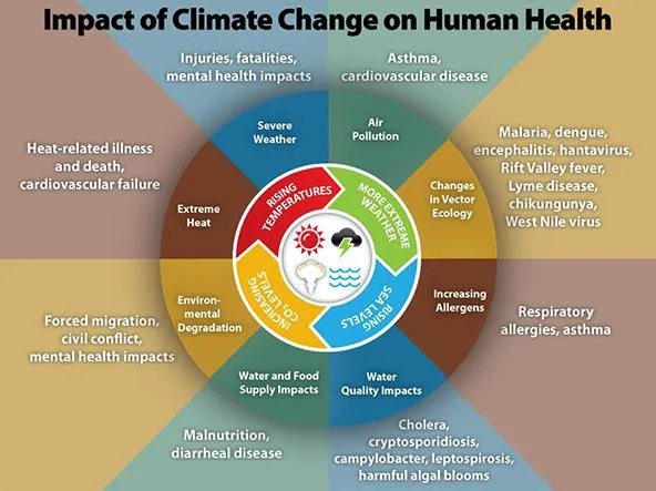 diagram showing the impacts of climate change as related to human health