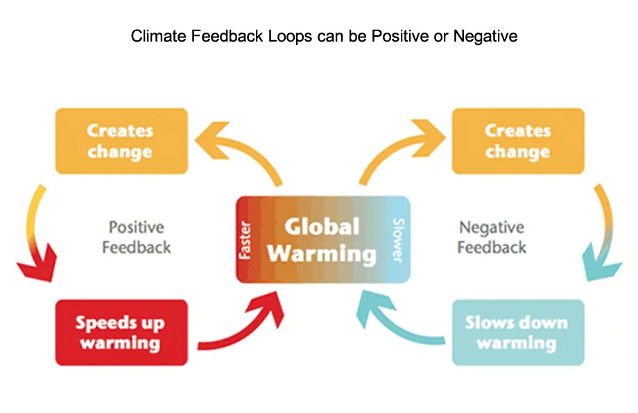 schematic showing how positive and negative feedback loops affect the climate system
