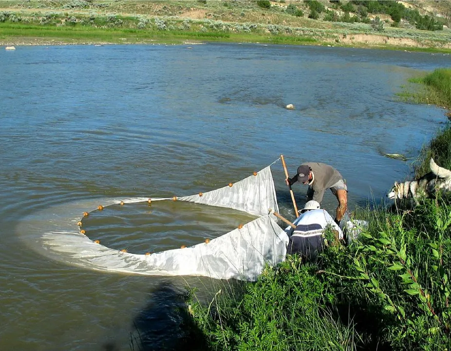 photo of scientists studying a freshwater ecosystem along the Missouri River