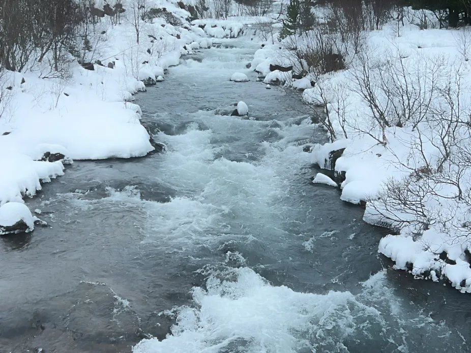 A river in a winter scene