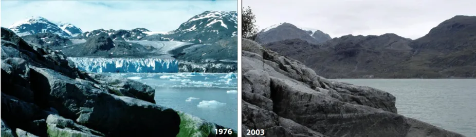 Muir Glacier in Alaska in 1976 with ice in the image and snowcapped peaks and in 2003 without glacial ice in the image and limited snow on mountaintops