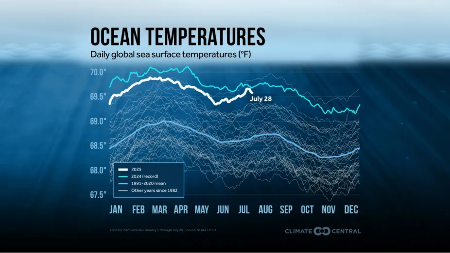 Warmer global sea surface temperature graph for 2025