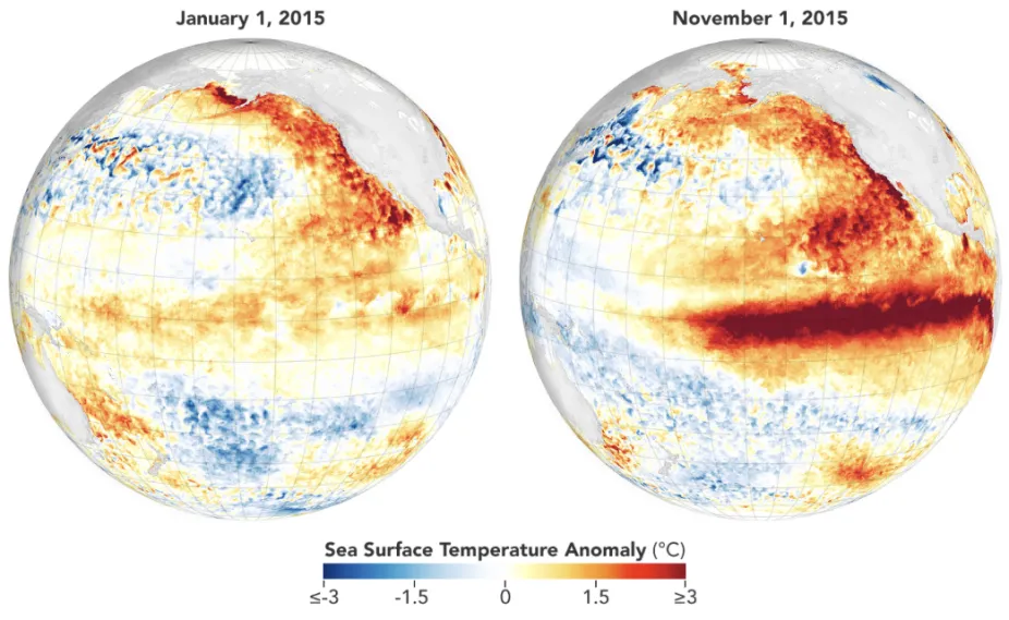 Sea surface temperatures in the tropical Pacific, January 2015