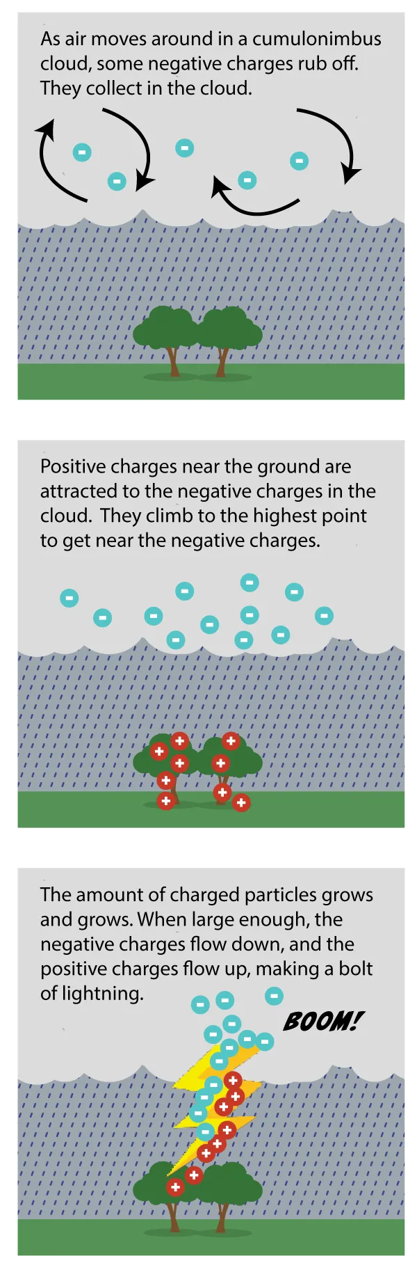 Graphic showing how lightning forms. As air moves around in a cumlonimbus cloud, some negative charges rub off. They collect in the cloud. Positive charges near the ground are attracted to the negative charges in the cloud.  They climb to the highest point to get near the negative charges. The amount of charged particles grows and grows. When large enough, the negative charges flow down, and the positive charges flow up, making a bolt of lightning.