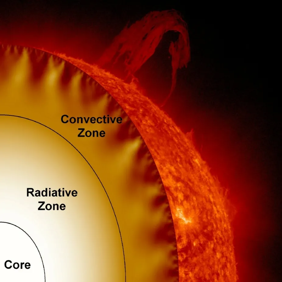 cutaway view of the Sun showing the core and the outer convective zone where thermal energy is transferred to the Sun's surface