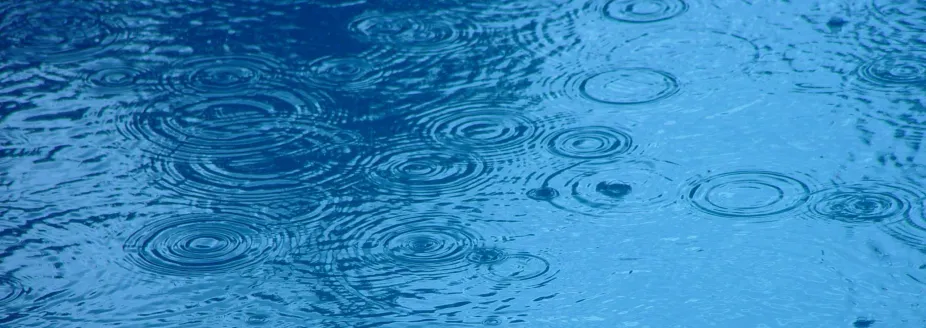 raindrops in a puddle