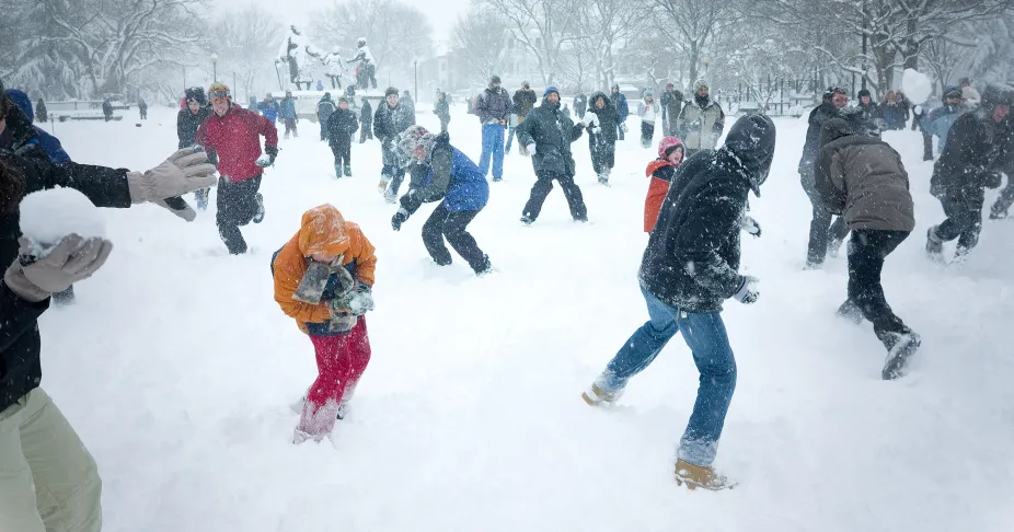 Lots of people in a snowy park making snowballs, throwing snowballs, and dodging snowballs