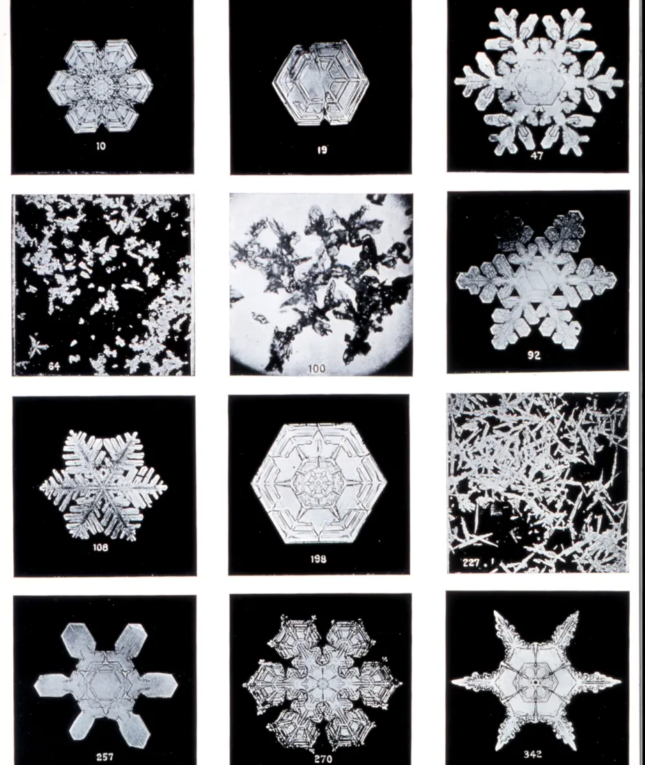 12 photographs of snowflakes on a black background