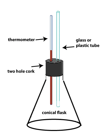 detail of flask setup with rubber stopper that has two holes - one with a tube and another for a thermometer