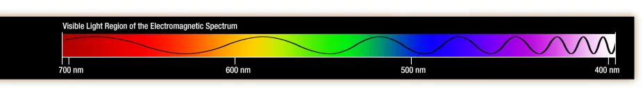 Visible light on the Electromagnetic Spectrum