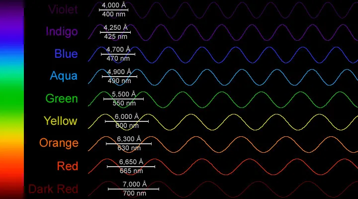 schematic showing the colors and wavelengths of the visible spectrum
