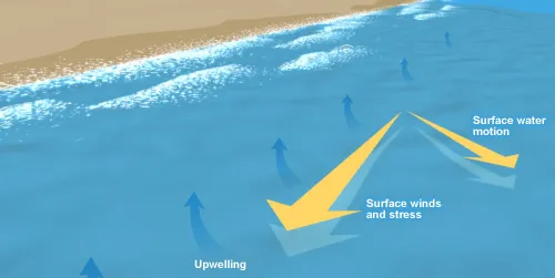 Graphic demonstrating upwelling near the coast.