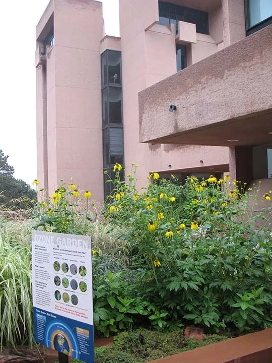 The NCAR Mesa Lab's ozone garden