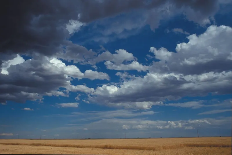 Cumulus clouds