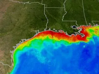 Gulf of Mexico dead zone