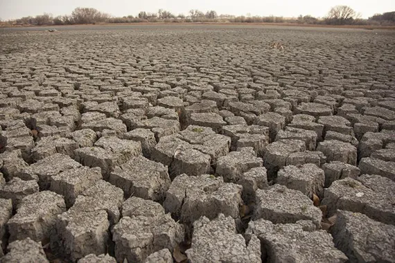 Mudcracks on dry ground