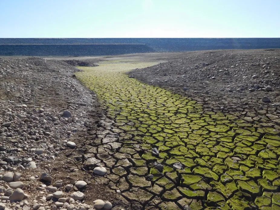 Cracked dirt in a dry lake bed