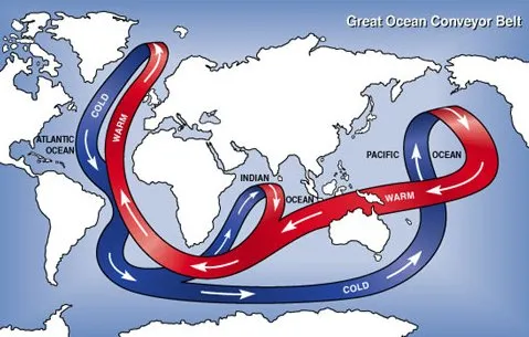 Map of the world showing how seawater moves in a pattern of currents known as thermohaline circulation