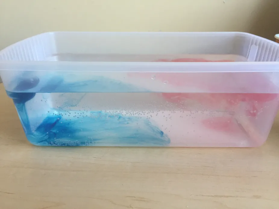 Blue and red food coloring showing how cold and warm water interact in the same container