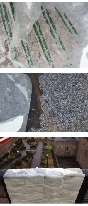 Rice paper on top of wet leaves (top), floating on top of standing water with bubbles (middle), and hung over a railing in a humid environment.