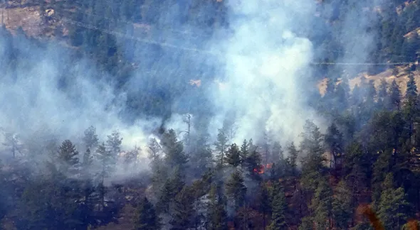 Plumes of smoke rise up from forested mountains.