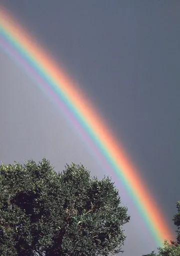 Rainbow