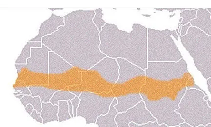 Gray map of north-western Africa