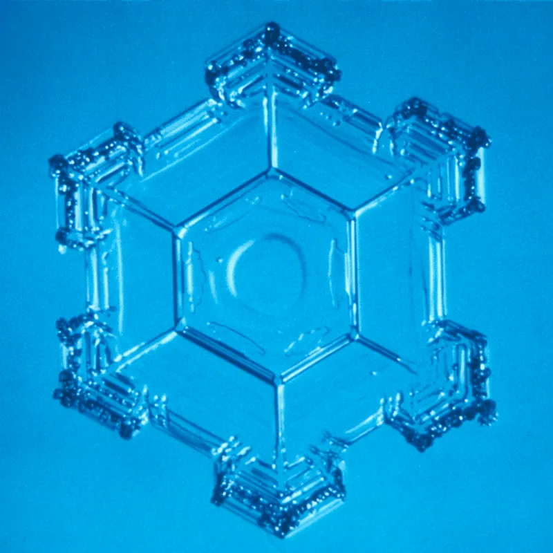 Microscope image of a snowflake
