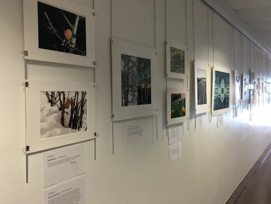 Students' artwork hangs in a hallway at the NCAR Mesa Lab