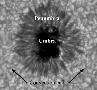 This is an image of the Sun's corona, showing the Umbra in the middle surrounded by the Penumbra. Arrows point out the location of convection cells within the Penumbra.
