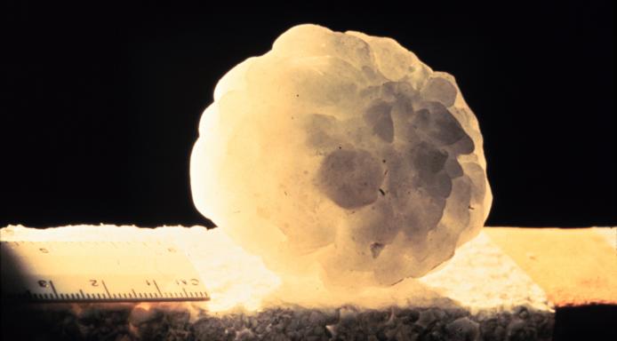 One large hailstone with a ruler next to it. The hailstone is more than 4 centimeters across.