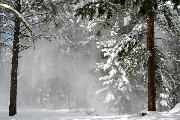 Winter Storms  Center for Science Education