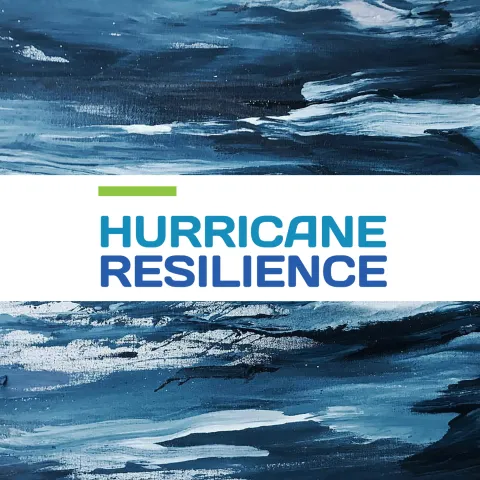 Hurricane Resilience