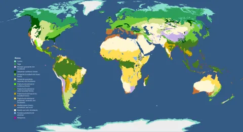 map of the major biomes of the world