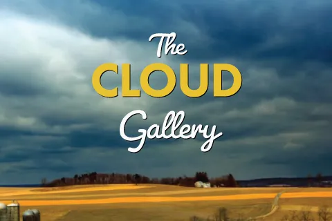 The cloud gallery