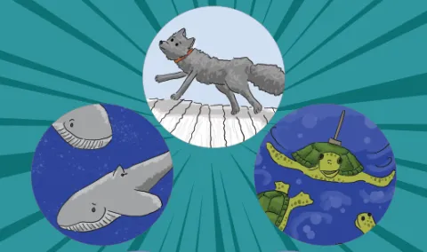 Illustrations of the animals in the "Using Satellites to Learn About Animals" activities.