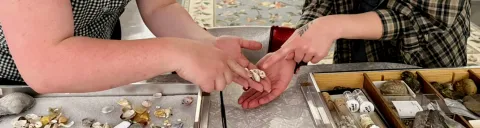 Two women examine fossils while leaning over a table with a collection of specimens.