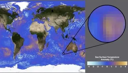 A graphic showing a map of the world with the oceans colored in different shades that indicate "Sea Surface Temperature Anomaly (°C)". 