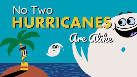 No Two Hurricanes Are Alike