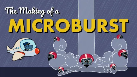 The Making of a Microburst