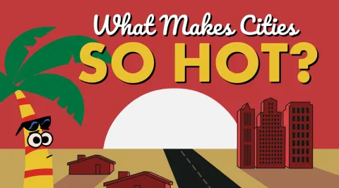 What Makes Cities So Hot? video