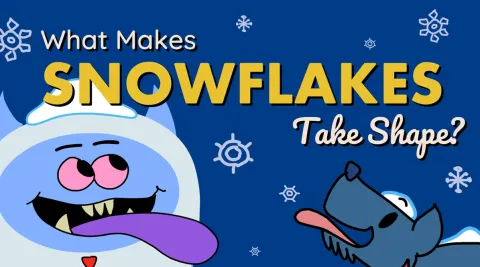 What Makes Snowflakes Take Shape video