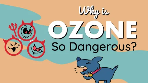 Why is Ozone So Dangerous?