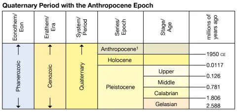 timeline showing Anthropocene as the most recent years of the Holocene geological epoch