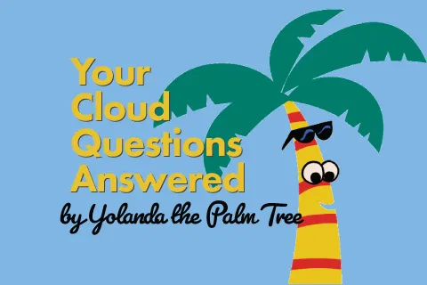 Your cloud questions answered, by Yolanda the Palm Tree