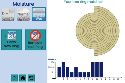 Tree Rings Simulation