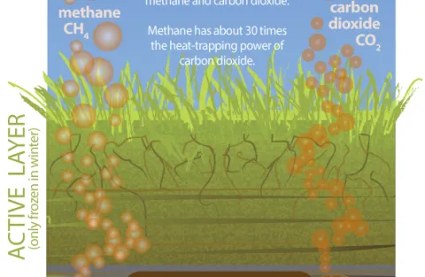 How Thawing Permafrost Soils Release Greenhouse Gases