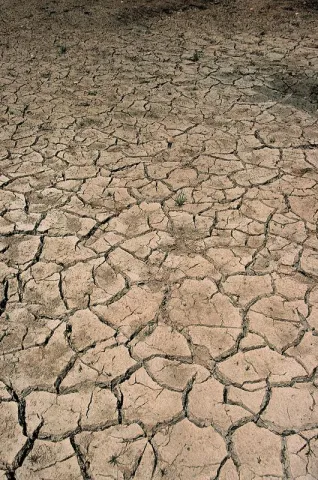 Cracks in Dry Mud