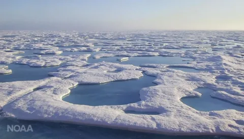 This is an image of melt ponds in the Arctic summer among the ice shelf.